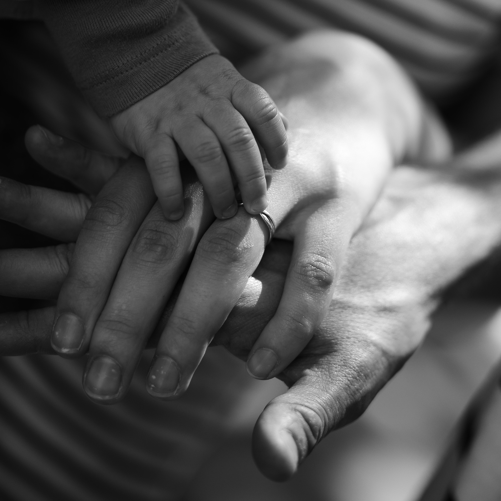 Les mains de la famille